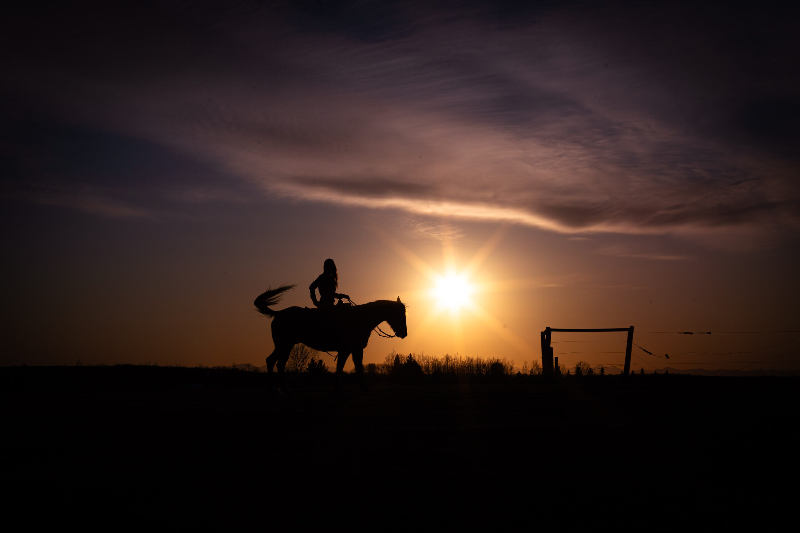 silhouette of girl on horse at sunset sunburst personalized Calgary grad photo session
