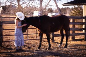 high school graduate and her horse at golden hour Calgary grad photo session